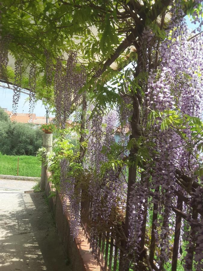 Mansarda Fiorita Bed & Breakfast Abatemarco Exterior photo